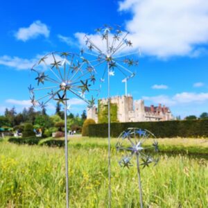 Allium