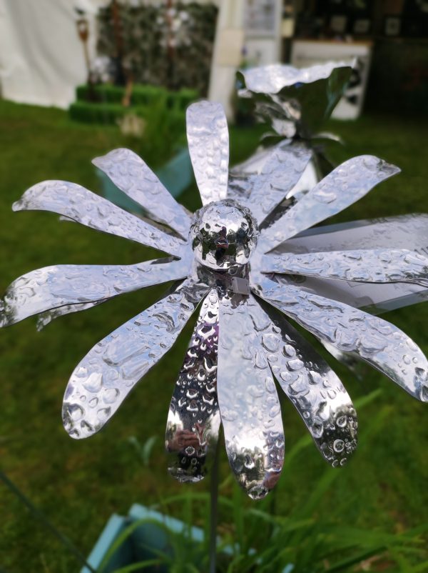 Aluminiumart echinacae
